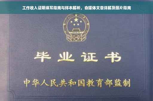 工作收入证明填写指南与样本解析，自媒体文章详解及图片指南