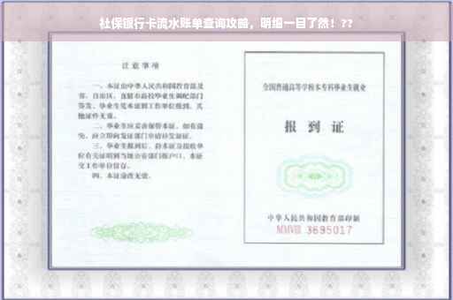 社保银行卡流水账单查询攻略，明细一目了然！??