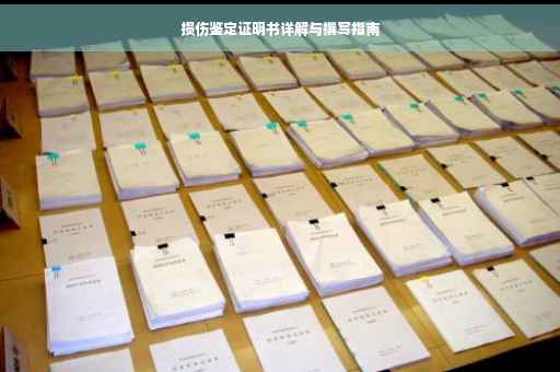 损伤鉴定证明书详解与撰写指南