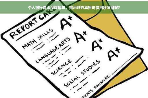 个人银行流水深度解析，揭示财务真相与信用状况洞察?