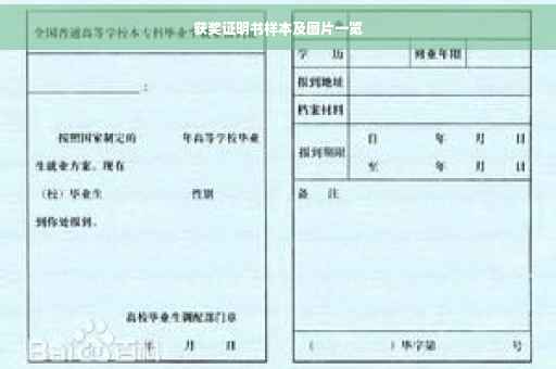 获奖证明书样本及图片一览