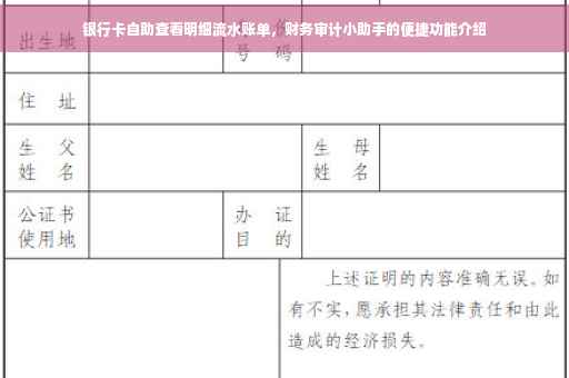 银行卡自助查看明细流水账单，财务审计小助手的便捷功能介绍