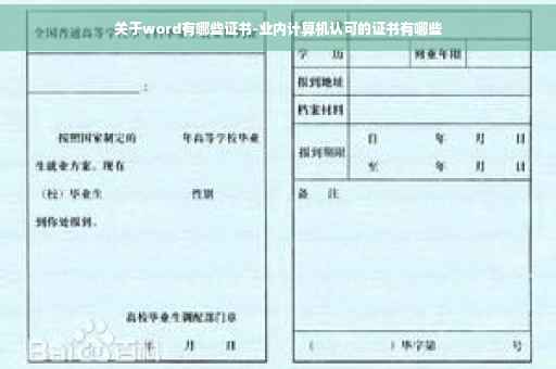 关于word有哪些证书-业内计算机认可的证书有哪些