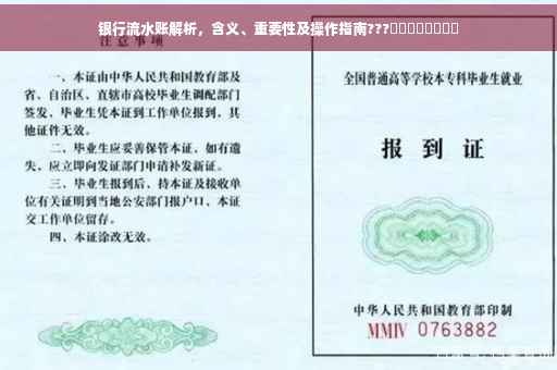 银行流水账解析，含义、重要性及操作指南???​​​​​​​​