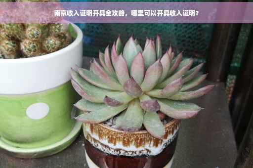 南京收入证明开具全攻略，哪里可以开具收入证明？