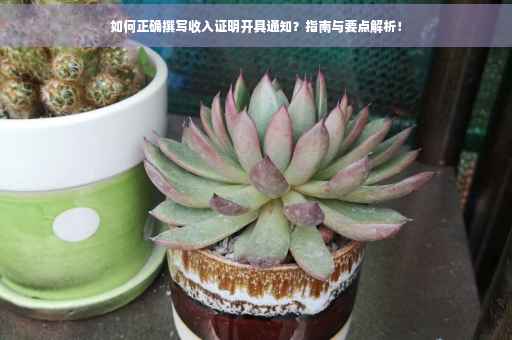 如何正确撰写收入证明开具通知？指南与要点解析！