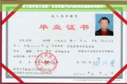 务工返乡收入证明，见证辛勤汗水与收获的成果如何撰写？