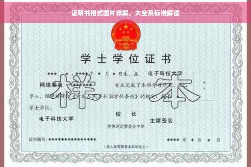 证明书格式图片详解，大全及标准解读