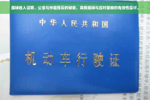 揭秘收入证明、公章与仲裁背后的秘密，真相揭秘与应对策略的有效性探讨。