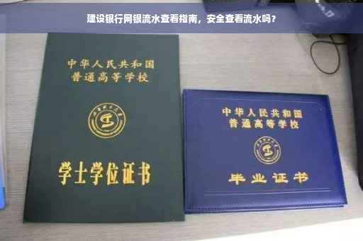 建设银行网银流水查看指南，安全查看流水吗？