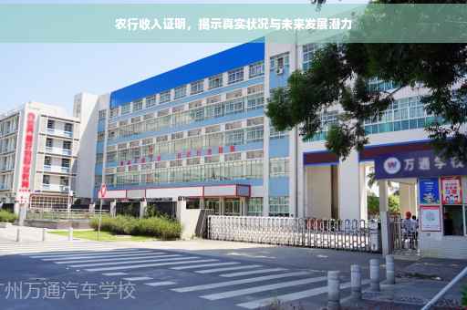 农行收入证明，揭示真实状况与未来发展潜力