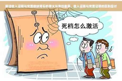 解读收入证明与党费缴纳背后的意义与责任差异，收入证明与党费证明的区别探讨