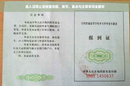 收入证明公章检查详解，细节、要点与注意事项全解析