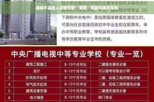 揭秘不需收入证明贷款，真相、风险与撰写指南
