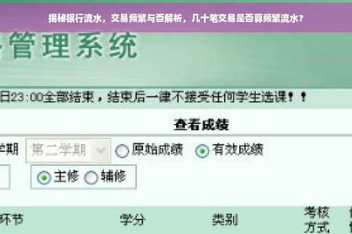 揭秘银行流水，交易频繁与否解析，几十笔交易是否算频繁流水？