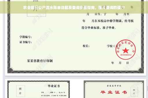 农业银行公户流水账单详解及查询步骤指南，图片查询教程??