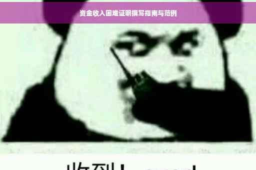 资金收入困难证明撰写指南与范例