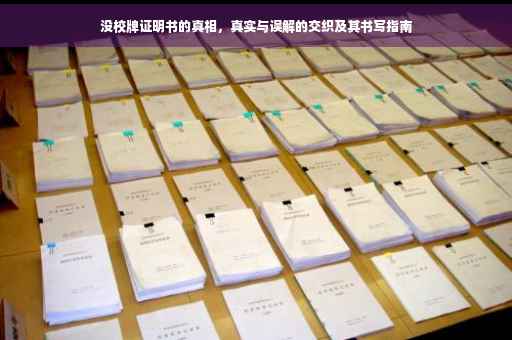 没校牌证明书的真相，真实与误解的交织及其书写指南