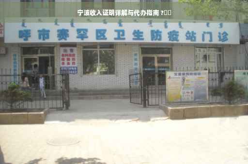 宁波收入证明详解与代办指南 ?⚡️