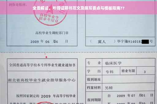 全面解读，所得证明书范文及撰写要点与模板指南??