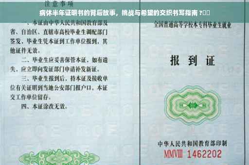 病休半年证明书的背后故事，挑战与希望的交织书写指南 ?⚡️