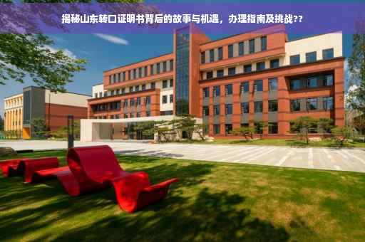 揭秘山东转口证明书背后的故事与机遇，办理指南及挑战??