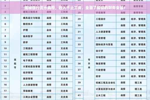 揭秘银行流水真相，收入不止工资，全面了解你的财务全景?