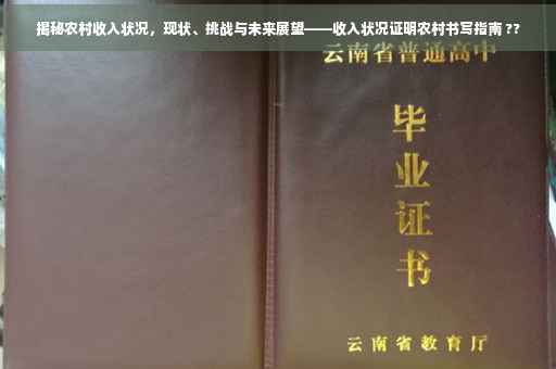 揭秘农村收入状况，现状、挑战与未来展望——收入状况证明农村书写指南 ??