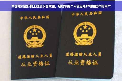中国建设银行网上拉流水全攻略，轻松掌握个人银行账户明细操作指南??