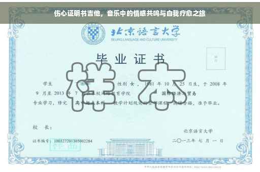 伤心证明书吉他，音乐中的情感共鸣与自我疗愈之旅