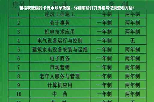 轻松获取银行卡流水账单攻略，详细解析打开流程与记录查看方法！