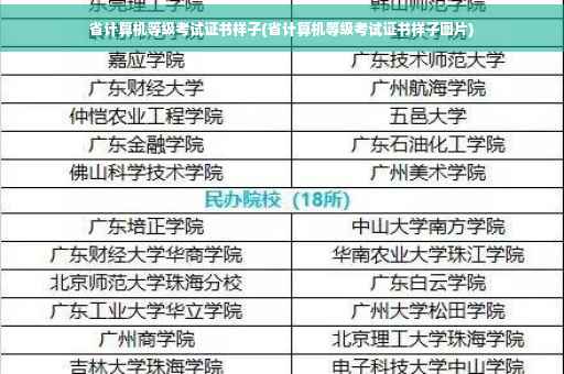 省计算机等级考试证书样子(省计算机等级考试证书样子图片)