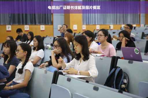 电缆出厂证明书详解及图片概览