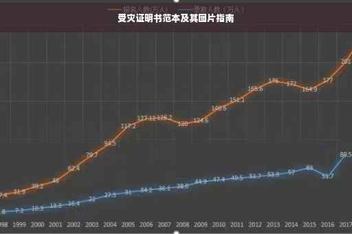 受灾证明书范本及其图片指南