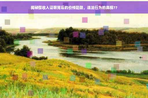 揭秘假收入证明背后的价格陷阱，违法行为的真相??