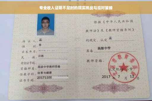 专业收入证明不足时的现实挑战与应对策略