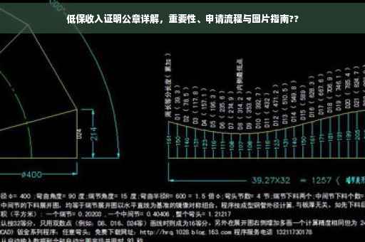低保收入证明公章详解，重要性、申请流程与图片指南??
