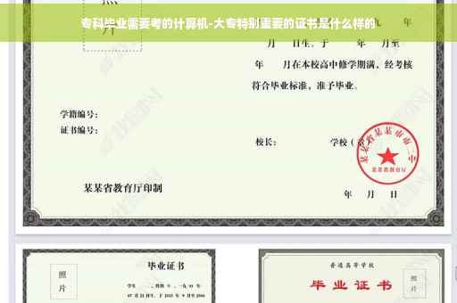 专科毕业需要考的计算机-大专特别重要的证书是什么样的