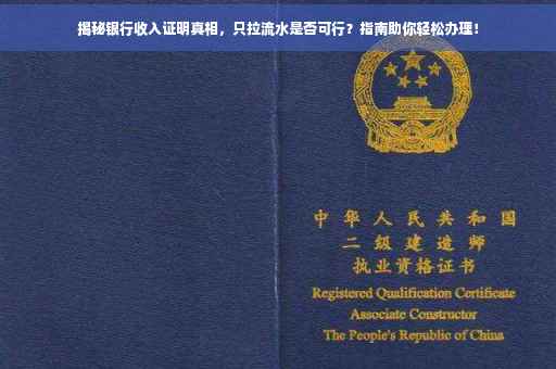 揭秘银行收入证明真相，只拉流水是否可行？指南助你轻松办理！