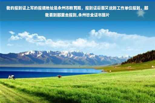 我的报到证上写的报道地址是永州市教育局，报到证后面又说到工作单位报到，那我要到那里去报到,永州毕业证书图片