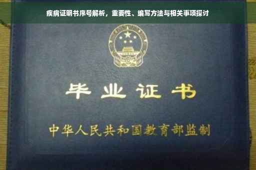 疾病证明书序号解析，重要性、编写方法与相关事项探讨