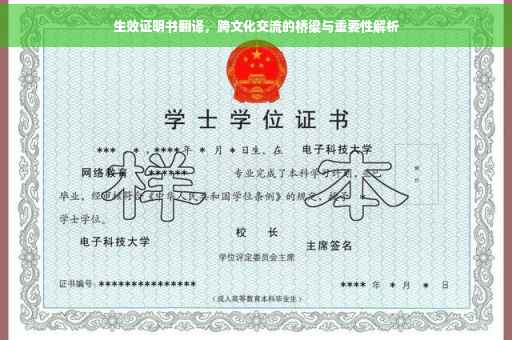 生效证明书翻译，跨文化交流的桥梁与重要性解析