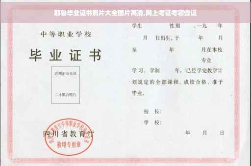 耶鲁毕业证书照片大全图片高清,网上考证考哪些证