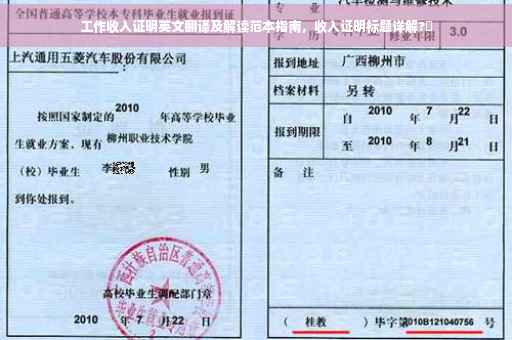 工作收入证明英文翻译及解读范本指南，收入证明标题详解?✨