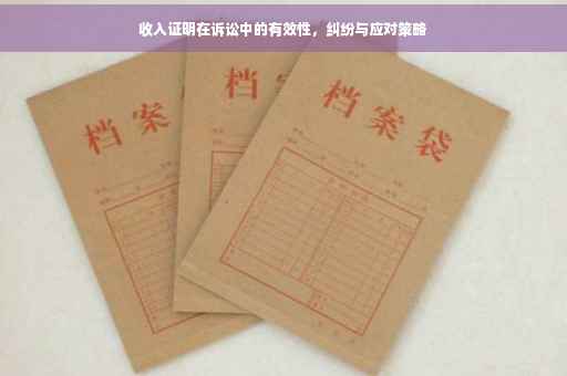 收入证明在诉讼中的有效性，纠纷与应对策略