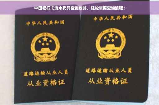 中国银行卡流水代码查询攻略，轻松掌握查询流程！