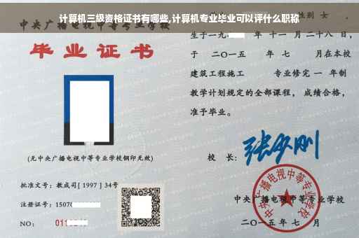 计算机三级资格证书有哪些,计算机专业毕业可以评什么职称