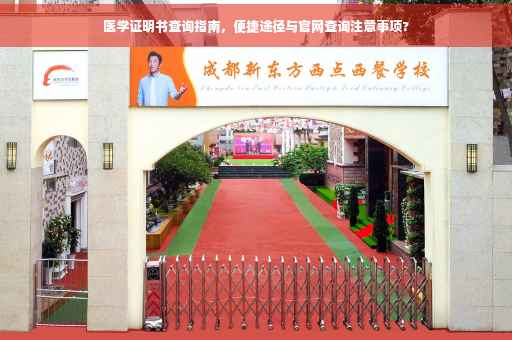 医学证明书查询指南，便捷途径与官网查询注意事项?