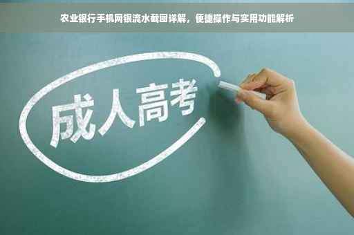 农业银行手机网银流水截图详解，便捷操作与实用功能解析