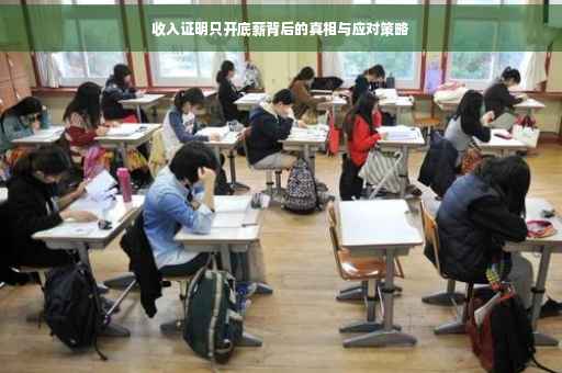 收入证明只开底薪背后的真相与应对策略